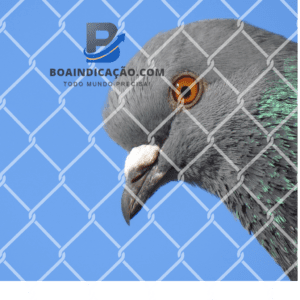 Defenda seu espaço com nossas redes de proteção contra pombos. A solução eficaz para preservar a segurança e a tranquilidade em sua residência. 🏡🕊 #ProteçãoResidencial #RedesContraPombos #SegurançaAmbiental
